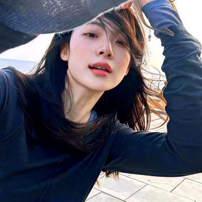 假元首秘纪